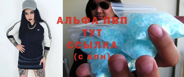 крисы Осинники