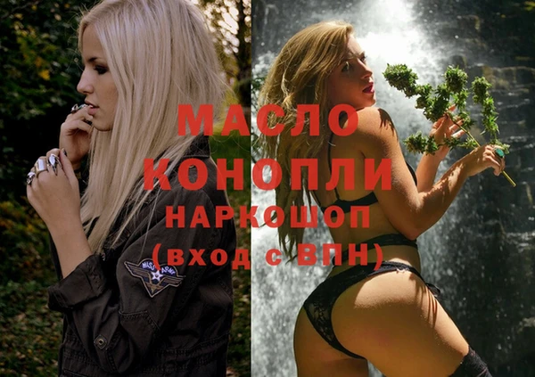 крисы Осинники